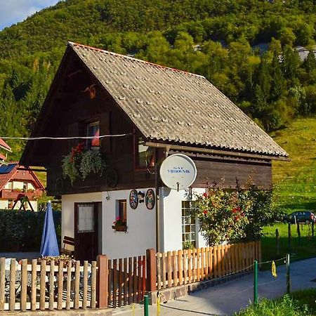 Apartmaji Бохінь Екстер'єр фото